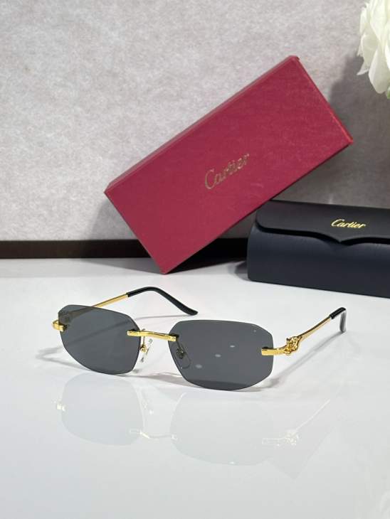Picture of Cartier Sunglasses _SKUfw77817064fw